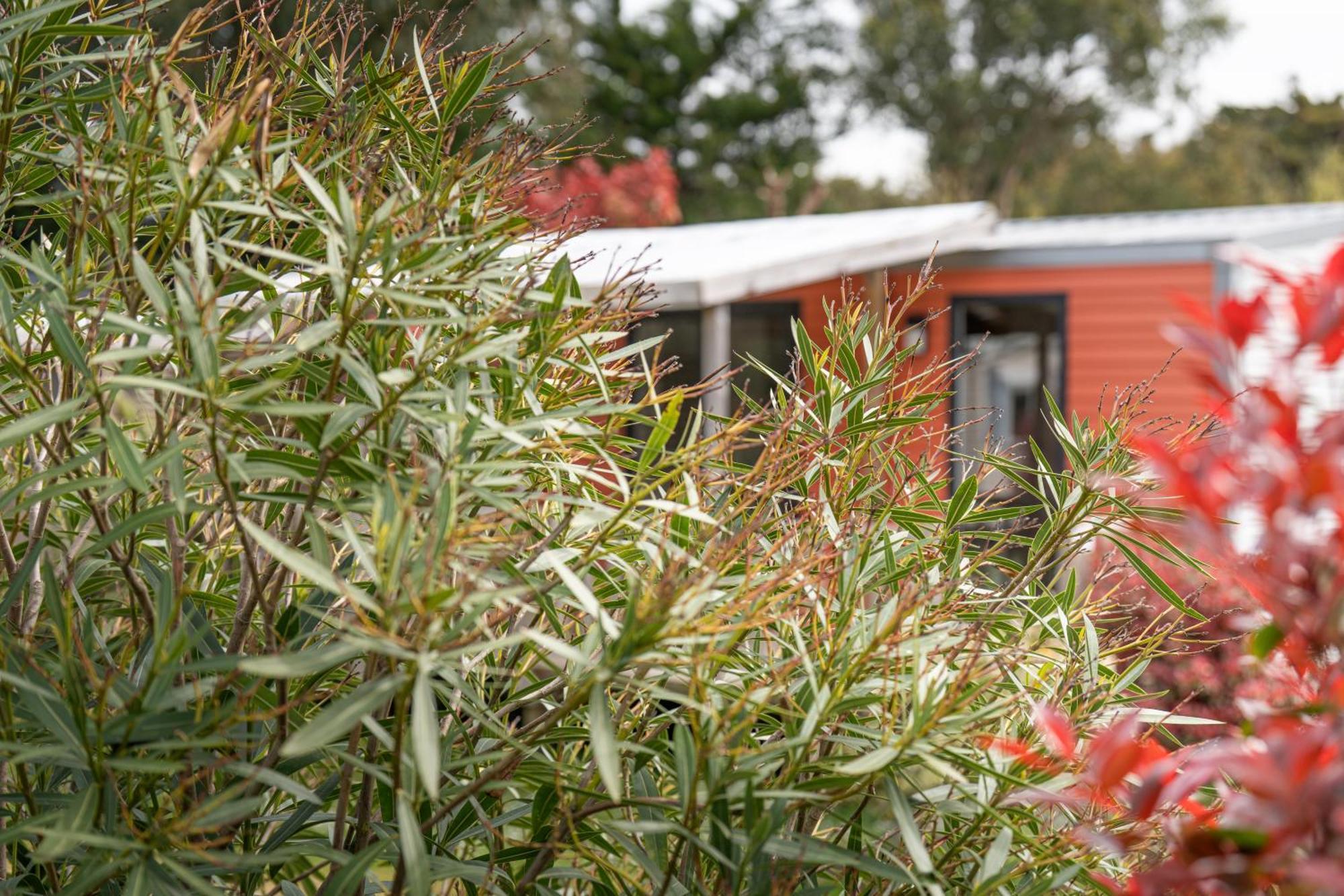 Camping Antioche D'Oleron La Brée-les-Bains Exteriér fotografie
